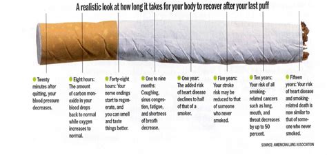 This Is What Happens To Your Body When You Quit Smoking