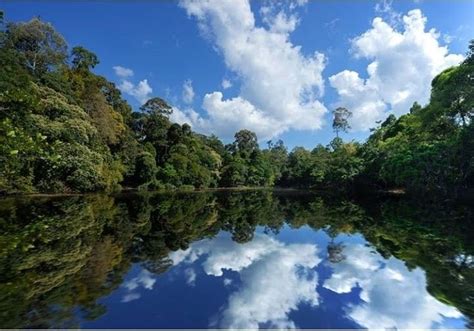 danau marpunge  daerah inti kawasan ekosistem louserkel kecamatan