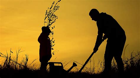 father daughter planting tree sunset stock footage sbv 318325397