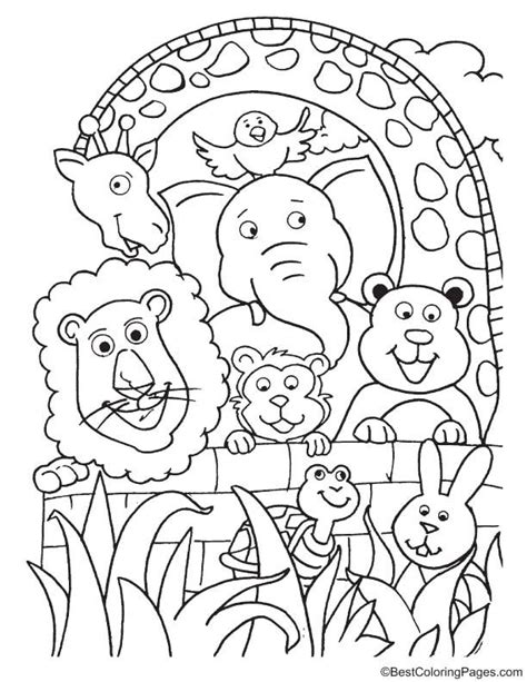 ideal zoo animals colouring pages apple science worksheet