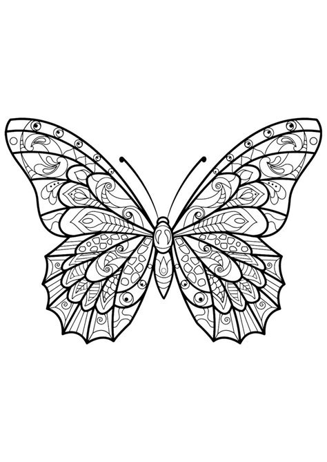 pin  butterfly coloring page