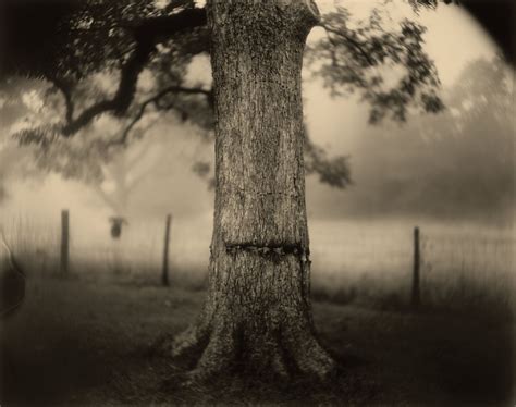 Sally Manns Haunted South The New York Times Sally Mann