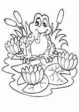 Coloring Pages Pad Lily sketch template