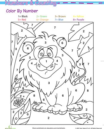 color  number lion worksheet educationcom preschool colors
