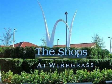 wiregrass mall google search outdoor lifestyle favorite places