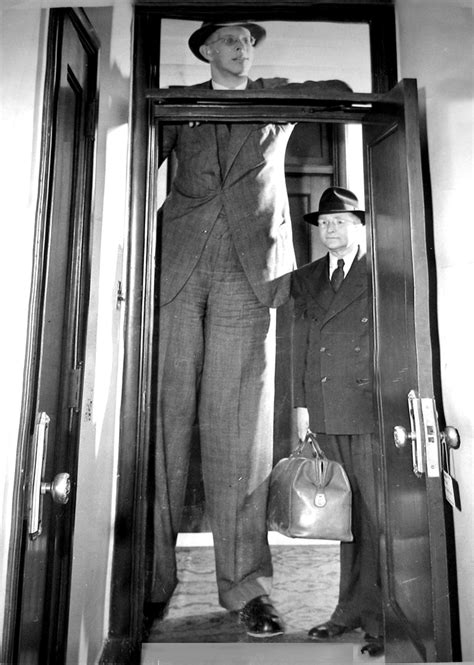 robert wadlow   feet   inches tall  father   feet