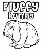 Rabbit Fluffy 1138 sketch template