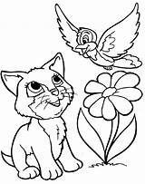 Coloring Cute Pages Animals Animal Cat Printable Getcoloringpages Baby Easy sketch template