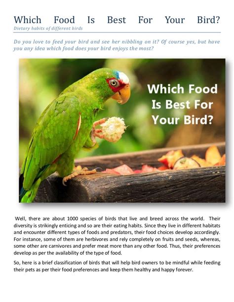 food     bird dietary habits   birds