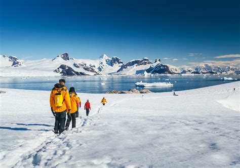 antarctic explorer discovering   continent quark expeditions