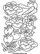 Fruit Coloring Groente Pages Vegetable Legume sketch template