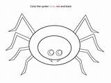 Spider Activity Color Different Does Why Look sketch template