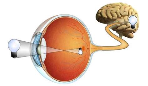 treatment  eye movement problems vision pro optical