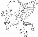 Griffin Gryphon Lineart Pegacorn Galery Lines Mythology sketch template