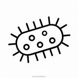 Clipart Germs Colouring Bacteria Germ Coloring Transparent Pages Webstockreview Modest Ultra sketch template