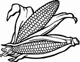 Vegetable Corns Corn Wecoloringpage sketch template