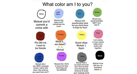 what color am i to you twitter memes stayhipp