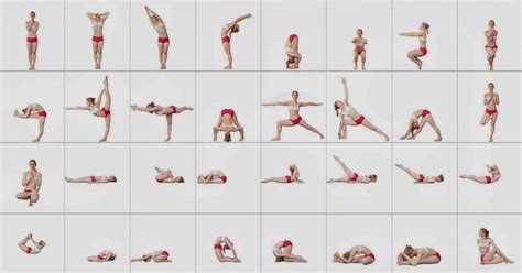 kripalu yoga poses  dive  practice  doyouyogas ultimate