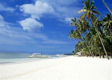 amorita resort bohol panglao island audley travel