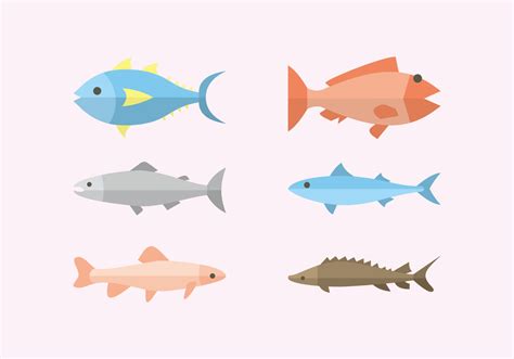 flat fish illustration vector  vector art  vecteezy