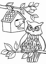 Hibou Imprimer Hiboux Arbre Coloriages Animaux Owls Dessiner Mignon Dessins Justcolor Chouette Maternelle Danieguto Azcoloriage sketch template