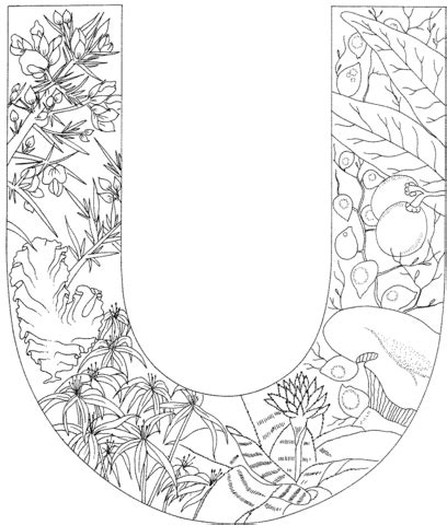letter  coloring page  printable coloring pages alphabet