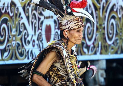 meet the dayak tribes the ex headhunters of borneo indoneo