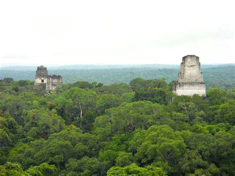 overview   tikal mayan ruins  jaunt  joy
