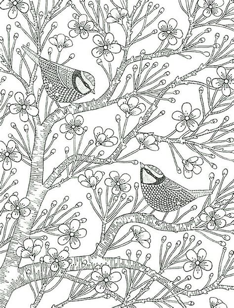 birds  tree bird coloring pages coloring pages coloring books