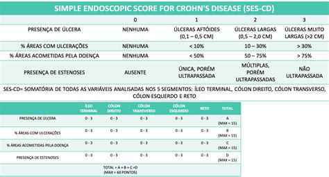 ses cd simple endoscopy score  crohns disease endoscopia