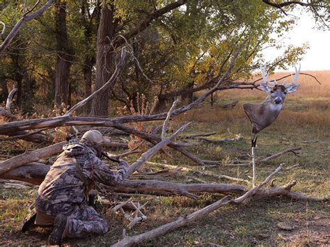 bow hunting decoys heads  decoy tagged mule deer decoy