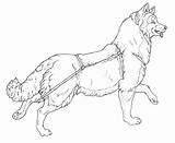Sled Husky Colouring sketch template