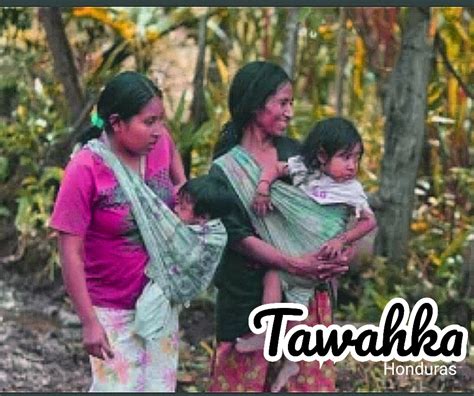 los tawahkas son  grupo indigena  cultural  lingueisticamente pertenecen al grupo etnico de