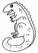 Hagedis Iguana Eidechse Coloring Kleurplaat Dieren Lezard Animaatjes Prehistorique Lézard Partager Préhistorique sketch template