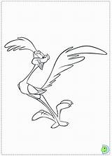 Runner Roadrunner Coyote Looney Tunes Coloringhome Beep sketch template