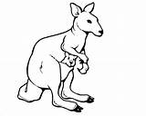 Kangaroo sketch template