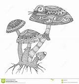 Mushroom Coloring Adult Intricate Stress Anti Drawn Fungus Activity Hand Book Dreamstime Illustration sketch template