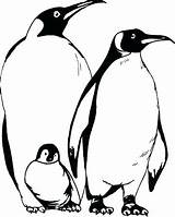 Penguin Coloring Pages Emperor Printable Cartoon Baby Kids Family Clipart Penguins Colouring Happy Feet Color Cliparts Getcolorings Print Library sketch template
