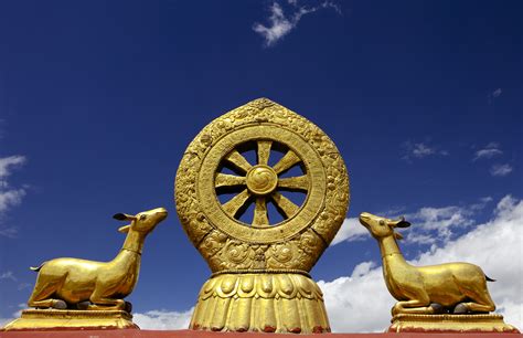 dharma wheel dharmachakra symbol  buddhism