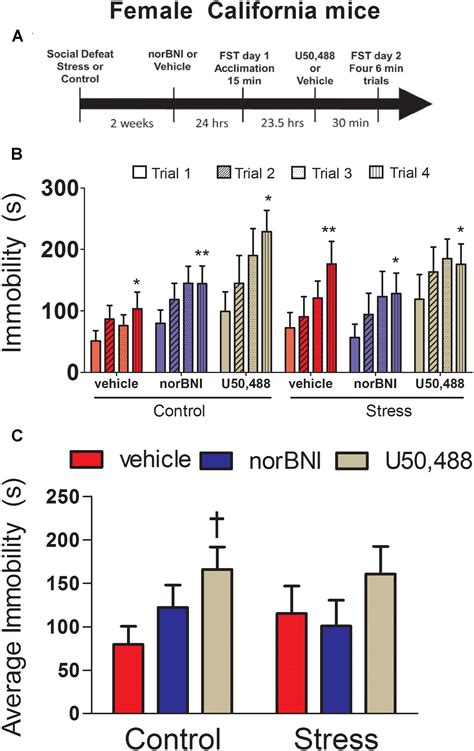 Frontiers Sex Differences In The Effects Of A Kappa Free Download