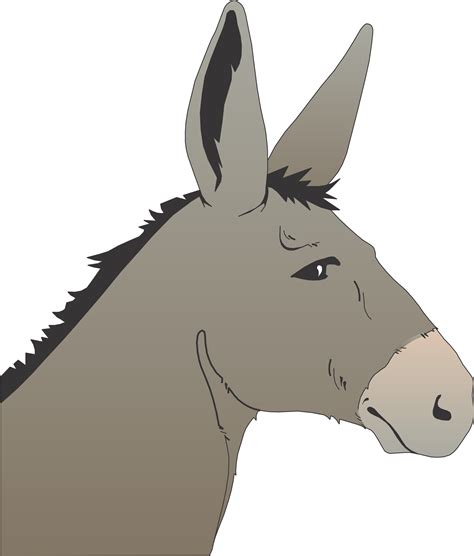 clipart   cartoon donkey head  image