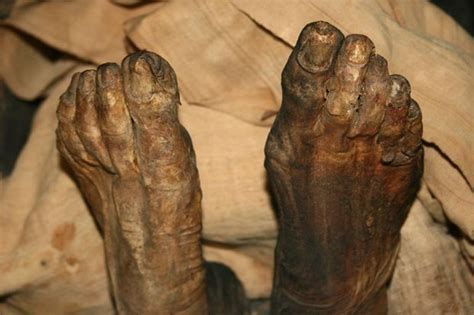 Son Who Lived With His Mother S Mummified Corpse For A