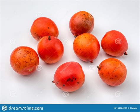 Fresh Ripened Apricots On Kitchen Towel In Daylight Edible Tasty