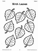 Leaf Coloring Patterns Fall Pattern Leaves Printable Pages Template Drawing Cut Tree Birch Flower Autumn Seasonal Templates Print Small Book sketch template