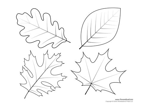 leaf templates leaf coloring pages  kids leaf printables