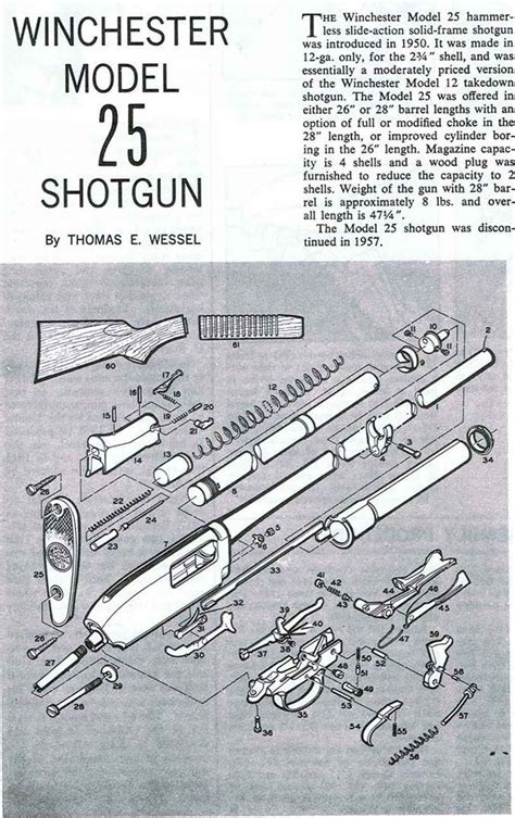 pin  shotguns
