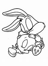 Looney Tunes Piu Bugs Tweety Toons Junaci Bebe Desenho Bojanke Colorindo Getdrawings Getcolorings sketch template
