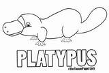 Platypus Coloring Puppet Pages Patterns Hand Puppets Thetucsonpuppetlady Tucson Choose Board sketch template