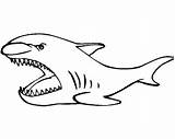 Shark Basking Coloring sketch template