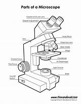 Microscope Diagram sketch template